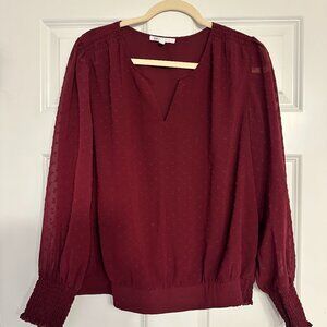 DR2 Maroon Textured V-Neck Blouse